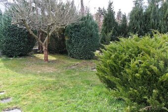 Stavba pro rodinnou rekreaci, Plzeň-Valcha, - 11