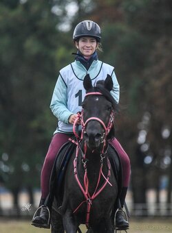 Equanadi-arabsky zrebec - 11