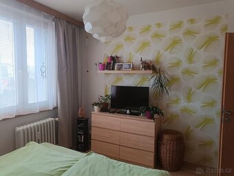 Prodej bytu 3+1, Mandysova, Hradec Králové - 11