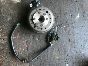Dily pitbike 125 - 11