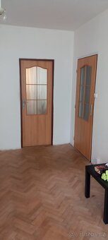 3+1 Dobřany 17 Listopadu přízemí , dlouhodobě - 11