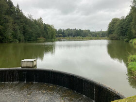 Půvabný mlýn s rybníky, lesy, pastvinami, 5 apartmanů - 11