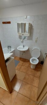 Pronájem bytových jednotek+terasa+parkování - Kostelní Lhota - 11