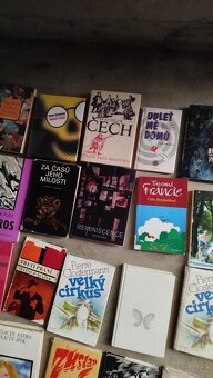 Měl by někdo zájem o nějaké knihy - 11