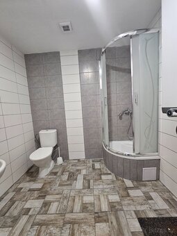 Pronájem bytu 2+kk, Čistá u Mladé Boleslavi, 45m2 - 11