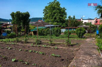 Prodej zahrady, 300 m², Ústí nad Labem - 11