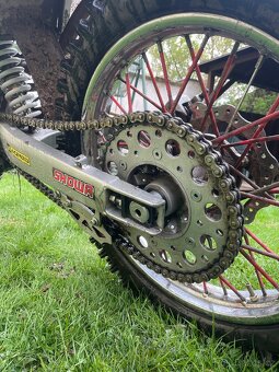 Diabolini MMR 250-2021 - 11