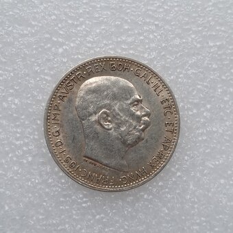 První ročníky ražeb jednokorun (1892-1993) - 11