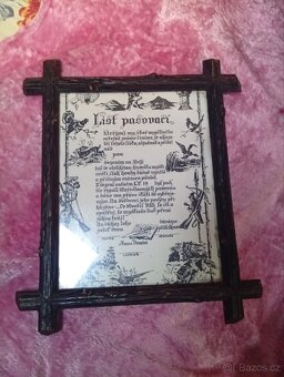 STAROŽITNÝ RÁMEČEK SE SKLEM 32 x 25 cm - 11