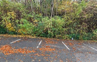 Pronájem kanceláře 45 m² Kotlaska, Praha - Libeň - 11