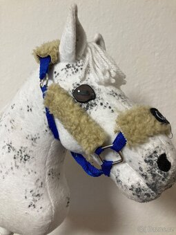 Hobby Horse - 11