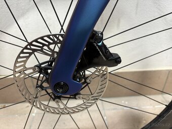 Pinarello Dogma F | 2025 | Campagnolo WRL - 11