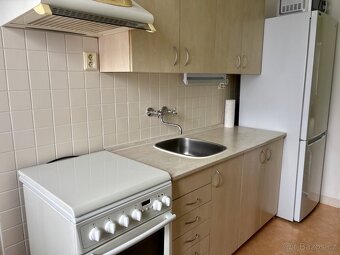 3+1  Opava- klidná ulice, 300m od centra, parkování ve dvoře - 11