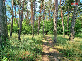 Prodej lesa, 5663 m², Ratíškovice - 11