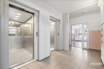 Pronájem bytu 1+1 37 m², Hodonín, ev.č. 00478 - 11