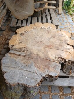 Listnaté koláče Habr Buk - 11