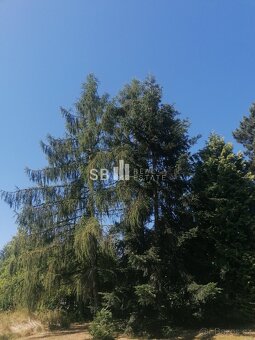 Prodej pozemky pro bydlení, 1 431 m2 - Havířov - Dolní Suchá - 11