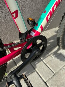 MTB LAPIERRE PRO RACE 20 - 11