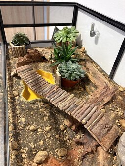 Kompletní terárium ReptiPlanet – plně vybavené - 11