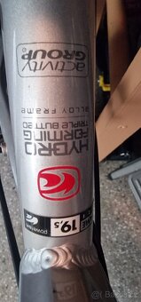 Kellys Salamander XC Cross Country - 11