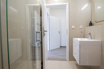 krásný byt 2+KK, 45m2 v ul. Perucká, Praha 2 - Vinohrady - 11