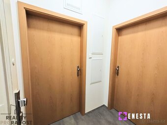 Pronájem 2+1 po rekonstrukci v Praze-Nuslích - 11