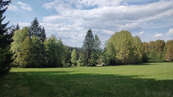 Prodej louky o celkové výměře 23 943 m2 nedaleko Frýdavy - 11