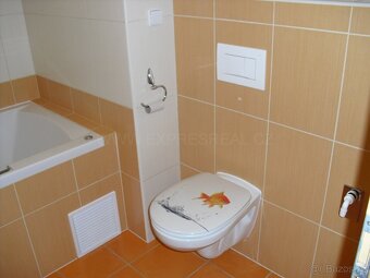 1+kk Brno-Bohunice, ul. Čeňka Růžičky, S TERASOU - 11