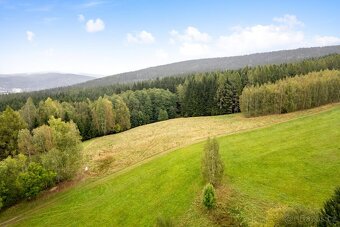 Prodej pozemku 2.624 m2 - 11