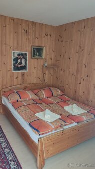 Pronájem Apartmánů Vranov nad Dyjí - 11