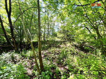 Prodej vodní plochy, 3255 m², Skalice u České Lípy - 11