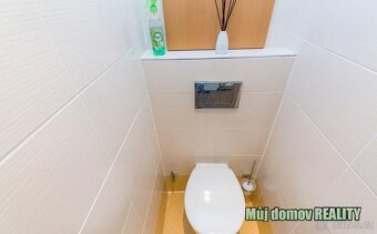 Pronájem plně zařízeného bytu 2+1, 61 m Praha 6, u metra Boř - 11