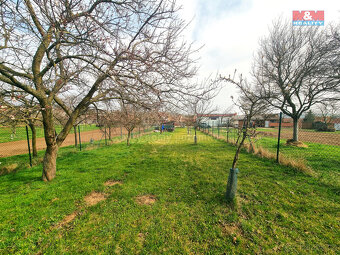 Prodej ovocného sadu, 4096 m², Starý Poddvorov - 11