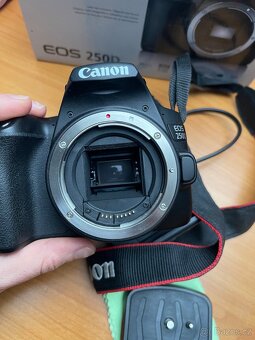 Canon 250D - 11