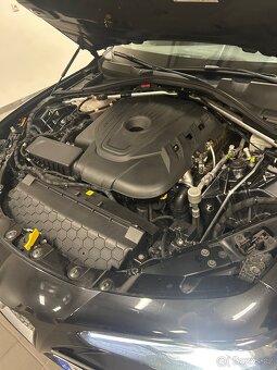 GIULIA - 11