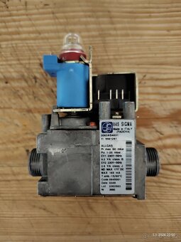 VM Vitopend 100 (WH06) - 11