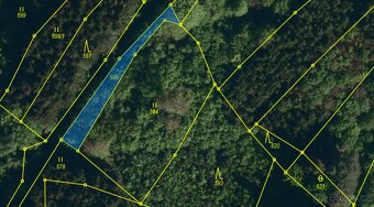 Prodej lesa Drnovice u Valašských Klobouk - 2294m2 - 11