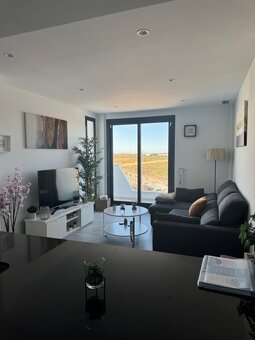 Pronájem apartmánu - 11