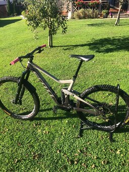 Scott Ransom 920L mulett - 11