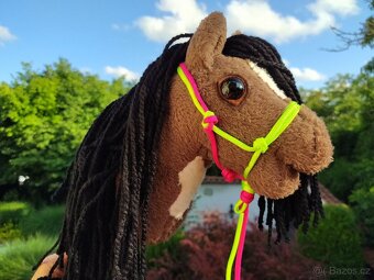 Hobby horse - 11