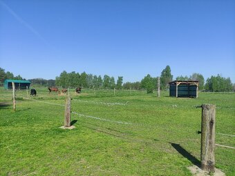 Ustájení Třeboňsko - 11