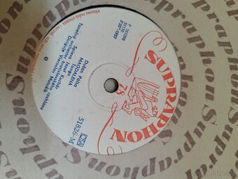 Gramofonové desky z 50. Let. Šelakové, nepoškrabané - 11