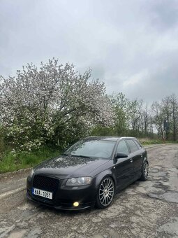 Audi A3 8P 2.0 TDi 125kw S-Line - 11