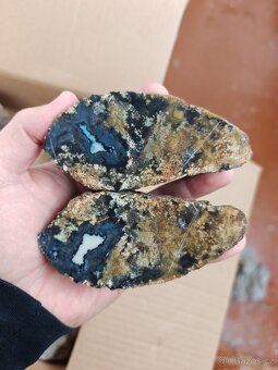 Acháty řezy Timor - 11