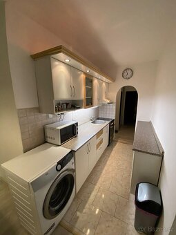 Pronájem bytu Střekov 2+1 - 11