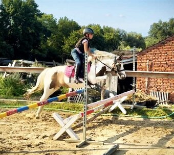 Pony kobylka 121 cm - 11