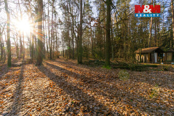 Prodej chaty, pozemek 12 745 m², Štěpánovsko - 11