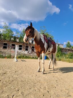 Westernové sedlo - 11