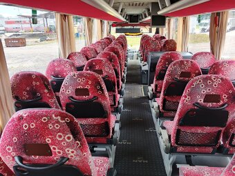 Man Lion's Coach - 11