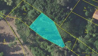 Prodám lesní pozemky v k.ú. Vlašim - 11